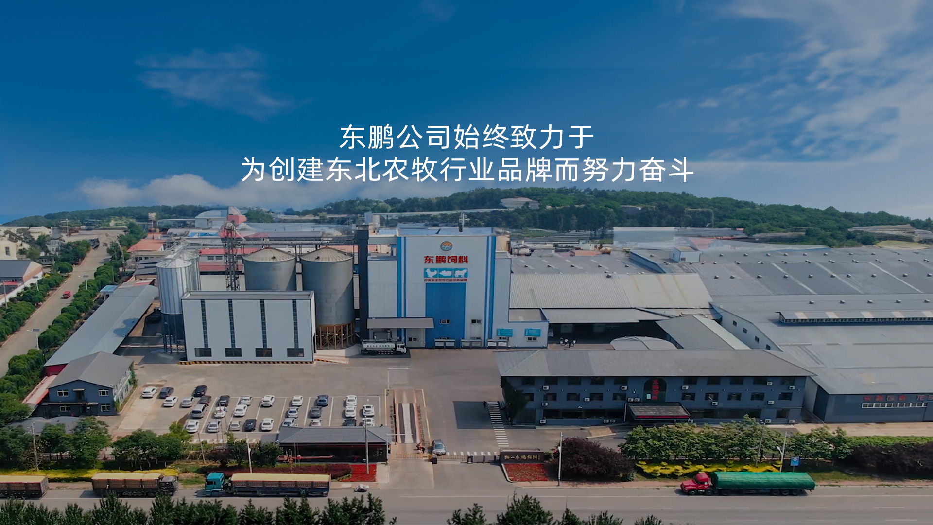 铁岭饲料